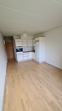 View of the kitchen area within the open-plan living space, featuring white cabinets, appliances, and light wood flooring.