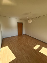 Empty living room with light wooden floor, white walls, a wooden door, and a round white ceiling lamp.