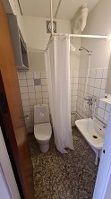 Small bathroom with a toilet, sink, and shower with a curtain.