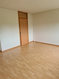 Empty room with light wooden laminate flooring and a wooden door.