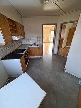 View of the kitchen showing wooden cabinets, a countertop with a sink, and an open doorway leading to another room.