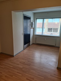 View of an empty living room or entrance area with a window, radiator, and a dark entrance door.