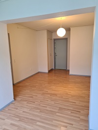 Empty room with hardwood floor, a white pendant light, and a door leading to another room or entrance.
