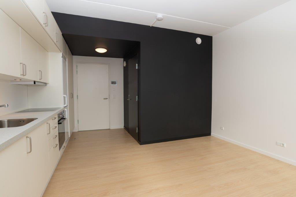 A view of the apartment entrance area and kitchen, featuring a dark accent wall, light wooden flooring, and a white entrance door.