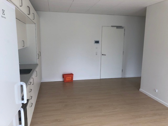 View of the living room and kitchen area looking towards the entrance door, with white walls and light wood flooring.