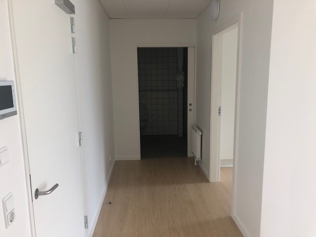 Hallway leading to other rooms, with light wood flooring and white walls, showing a door to the bathroom.
