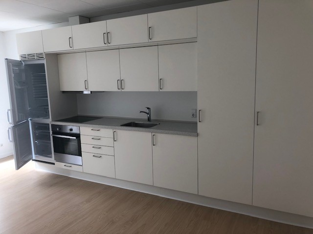 Modern kitchen with white upper and lower cabinets, integrated appliances including a refrigerator, oven, and stovetop, and a grey countertop.