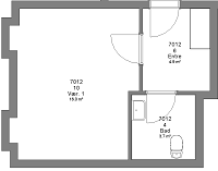 A 2D floor plan of a studio apartment, showing a large main room, an entrance hall, and a bathroom, with area measurements for each space.