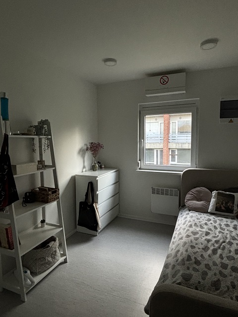 Furnished studio apartment showing a bed with patterned bedding, a white dresser, and a window with a view of other buildings.