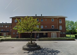 Exterior view of a red brick apartment building with multiple windows and balconies, featuring a small tree in a circular planter in the foreground.