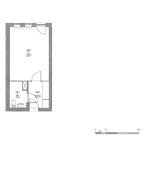 2D floor plan of a studio apartment featuring a combined living/bedroom, a separate kitchen, a bathroom, and an entrance/hallway.