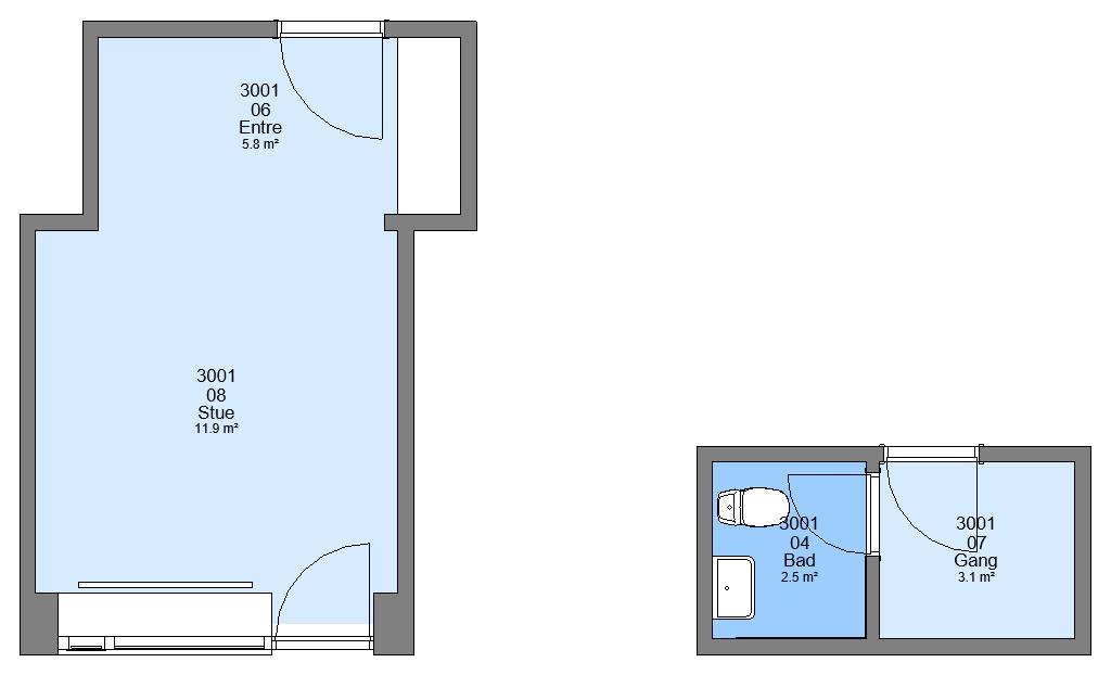 A 2D floor plan of an apartment showing an entrance, living room, bathroom, and hallway with their respective areas.