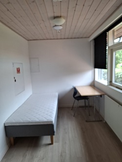 A small bedroom or office with a single bed, a desk, a chair, and a window with a dark blind.