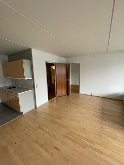 Living room with light wood flooring, white walls, and a view into the kitchen area and another room.