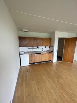 View of a compact kitchen area with wooden cabinets, a sink, and appliances, integrated into a room with hardwood flooring.