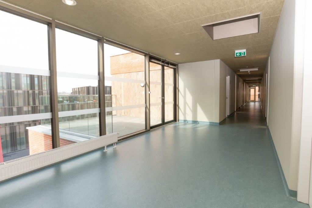 A long, bright hallway with large windows on one side and doors leading to rooms on the other.