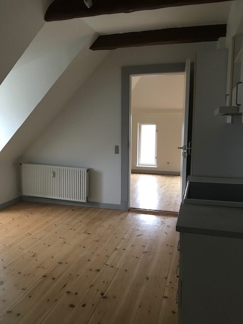 Pohled z pokoje s kuchyňským koutem a dřevěnou podlahou, skrz otevřené dveře do další světlé místnosti s oknem.