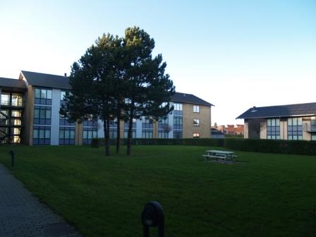 Exterior view of an apartment complex with a central green lawn, trees, and a picnic table.